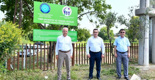 Tıbbi ve aromatik bitkiler bahçesi örnek olacak