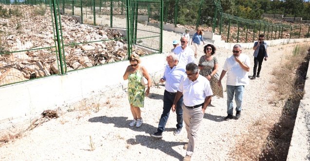 Başkan Şadi Özdemir sokak hayvanları için hazırlanan projeyi inceledi