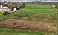 Osmangazi Belediyesi doğal üretimle sofralara sağlık sunuyor