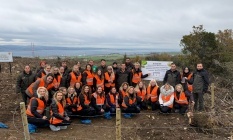 BUSADER’den orman seferberliği