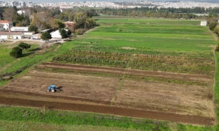 Osmangazi Belediyesi doğal üretimle sofralara sağlık sunuyor