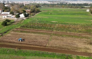 Osmangazi Belediyesi doğal üretimle sofralara sağlık sunuyor