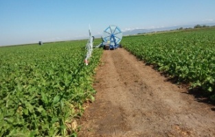 Bursa İlimizde 2020 Yılında 622 426 Dekar Tarım Arazisi  Sulandı