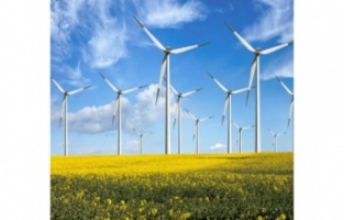 Güller enerji için dönüyor