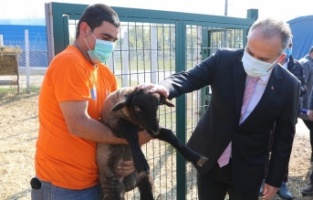 Çaresizlik Büyükşehir’le umuda dönüşüyor