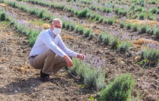 Karacabey’in dört bir yanı ‘yemyeşil’ olacak