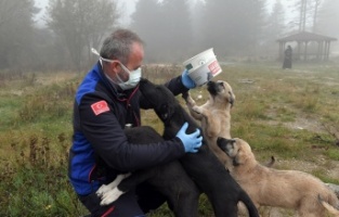 Osmangazi’de can dostlar sahipsiz değil