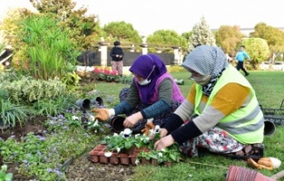 Yıldırım’da kış çiçekleri toprakla buluşuyor