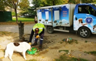 Can dostlara 62 ton mama