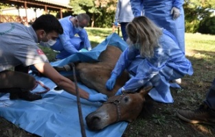 Can Dostlara Şifa Dağıtıldı