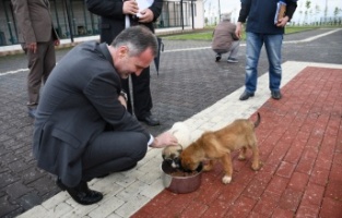 İnegöl Belediyesi 7700 can dostuna şifa oldu