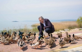 Karacabey Belediyesi pandemide de can dostlarımızı unutmuyor