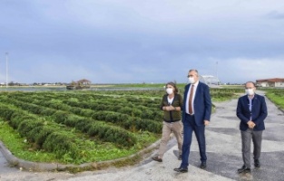 Karacabey’de binlerce fidan toprakla buluşuyor