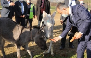 Bursa’nın emekli hayvanlar çiftliği