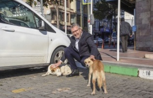 Can dostlarımız Karacabey’de güvence altında