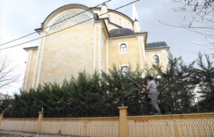 Şehrin dört bir yanında budama çalışmaları sürüyor