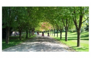 Bursa Botanik Park 15 gün daha kapalı kalacak