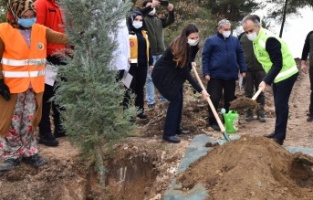 Sağlık kahramanları ormanı