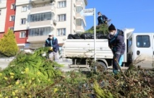 15 bin ton budama atığı değerlendirildi