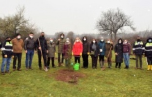 Bursa Hamamlıkızık’ta 500 fidan dikildi