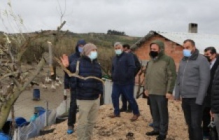 Bursa'da zeytin  üreticilerine uygulamalı eğitim