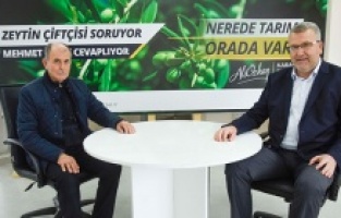 Bursa Karacabey'in hedefi zeytincilikte Türkiye'ye öncülük etmek