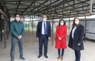 Bursa Mudanya’ya can dostları için rehabilitasyon merkezi ve barınak