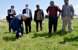 Bursa Yenişehir'de mera ıslah çalışmalarına başladı