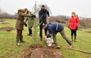 Bursa Yıldırım'da yeşil dönüşüm 