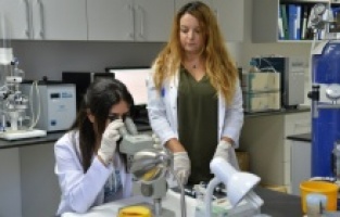 BUÜ, ilk çeyreğin patent şampiyonları listesinde