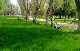 Yeşil Bursa yaza hazırlanıyor