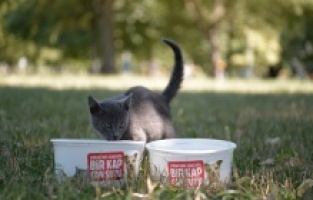 Osmangazi’de Can Dostlar emin ellerde