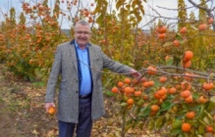 Karacabey’e alternatif tarım modeli