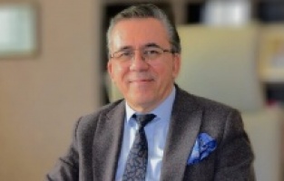 MARSİFED : “Sokak hayvanları uyutulmamalı”