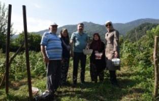 Yıldırım’da tarladan sofraya kadın eli