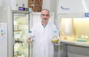 BTÜ’den Tarımda Verimliliği Artıracak Proje