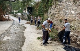 Temiz çevre için güç birliği