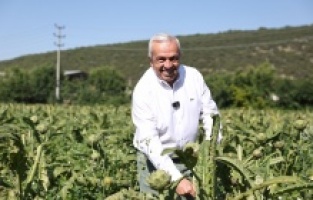 Sürdürülebilir tarım için ortak akıl buluşmaları