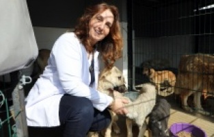 MUDANYA’da can dostların maması belediyeden